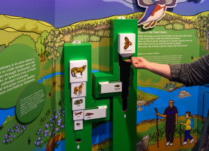 Food Chain Interactive in Use